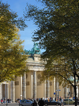 Fotos Allee zum Tor