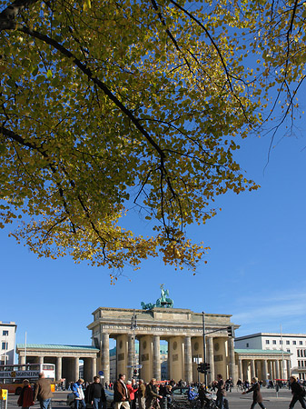 Tor mit Baum Fotos