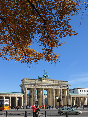 Fotos Tor mit Baum | Berlin
