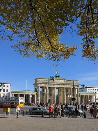 Tor mit Baum