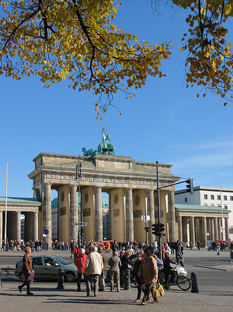 Tor mit Baum Fotos