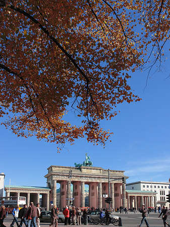 Tor mit Baum