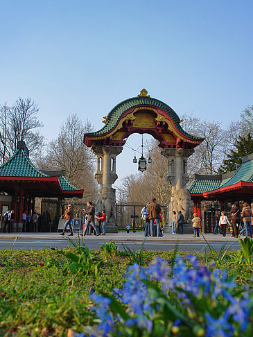 Foto Eingang mit Wiese