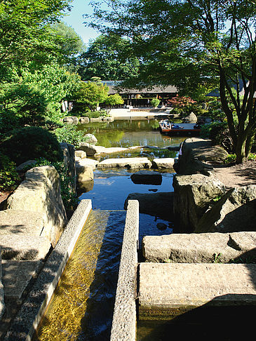 Fotos Planten un Blomen - Japanischer Garten