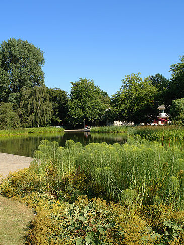 Foto Planten un Blomen - Wiese am Parksee - Hamburg