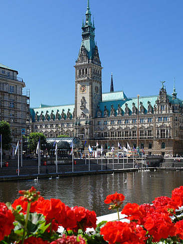 Foto Rathaus mit Alsterfleet - Hamburg