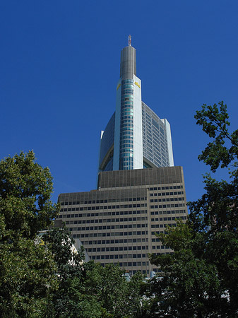 Fotos Commerzbanktower mit Baum | Frankfurt am Main