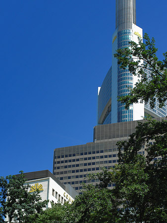 Foto Commerzbanktower mit Baum