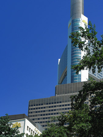 Foto Commerzbanktower mit Baum