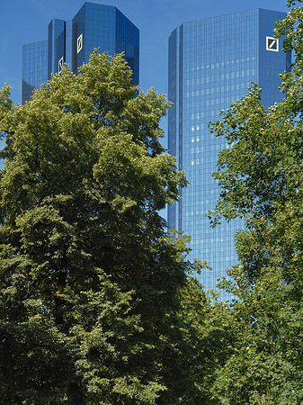 Fotos Deutsche Bank mit Bäumen
