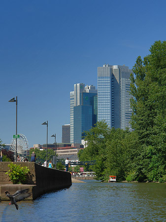 Eurotower und Dresdener Bank Fotos