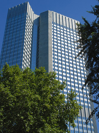 Eurotower Foto 