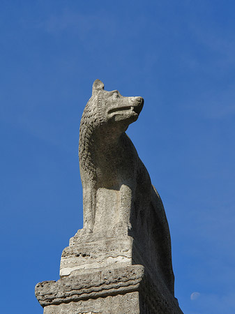 Fotos Wolfsstatue am Stadtmuseum | Köln