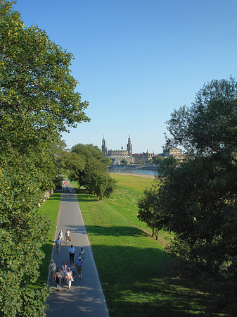 Foto Canalettoblick durch Bäume - Dresden