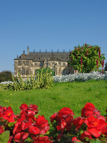 Foto Blumen vor dem Palais
