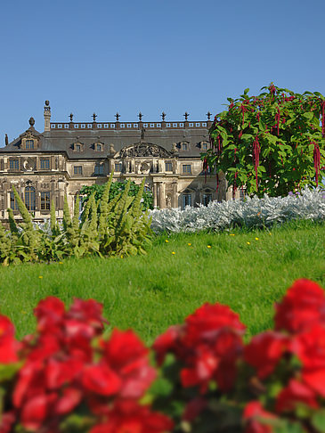 Foto Blumen vor dem Palais