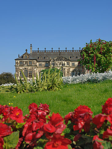 Blumen vor dem Palais Fotos