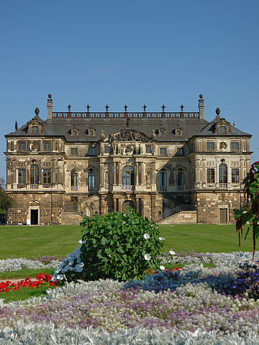 Fotos Blumen vor dem Palais | Dresden