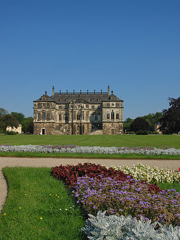 Foto Blumen vor dem Palais