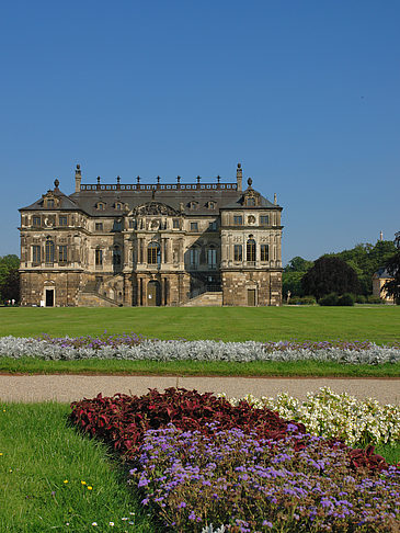 Foto Blumen vor dem Palais - Dresden