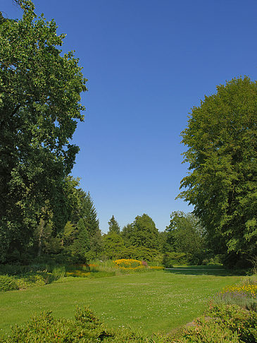 Wiese mit Bäumen