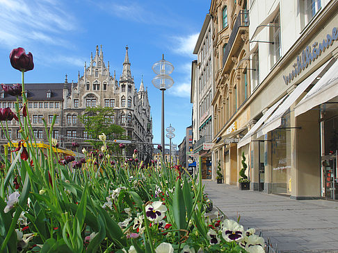 Fotos Neues Rathaus
