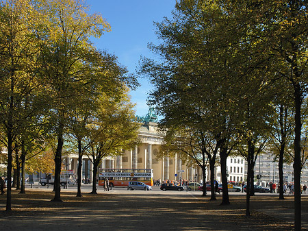 Fotos Allee zum Tor | Berlin