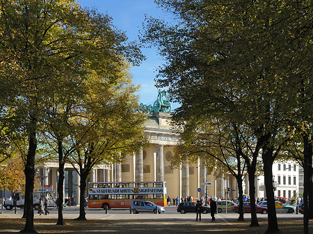 Allee zum Tor Foto 