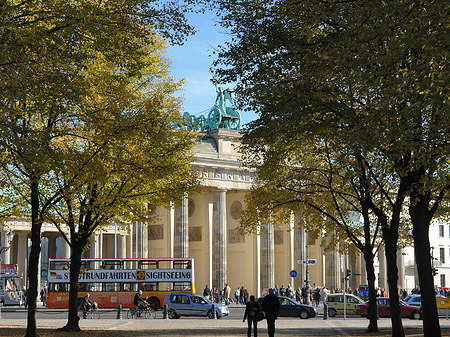 Allee zum Tor