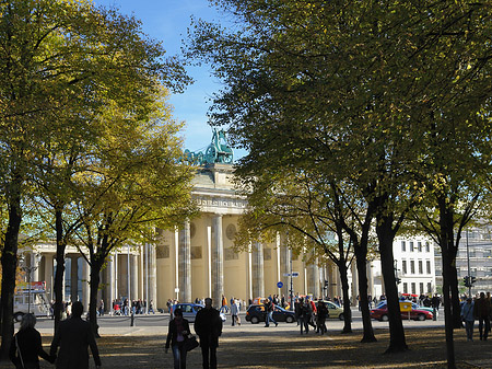 Foto Allee zum Tor