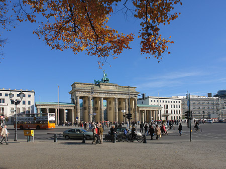 Tor mit Baum