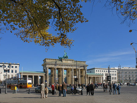Tor mit Baum