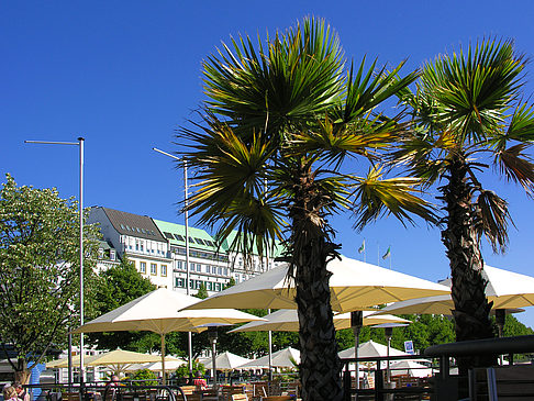 Foto Alster Pavillon
