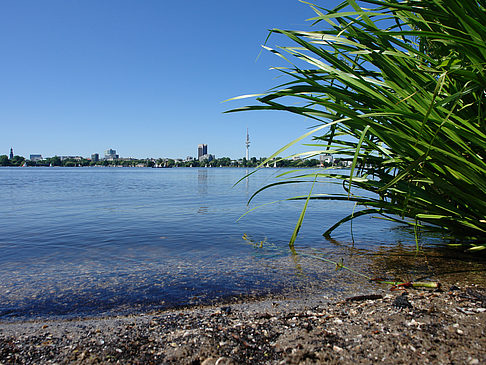 Fotos Badestrand an der Außenalster | Hamburg