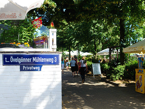 Foto Elbterrassen