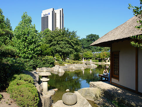 Fotos Planten un Blomen - Japanischer Garten