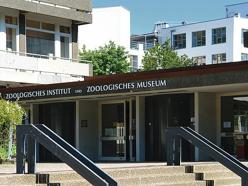 Foto Zoologisches Museum - Hamburg