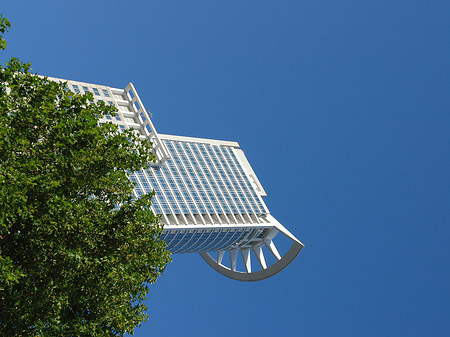 Fotos Westendtower mit Baum