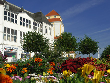 Seebrücke Binz Fotos