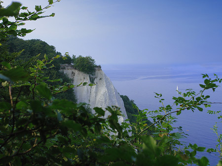 Königsstuhl Kreidefelsen Foto 