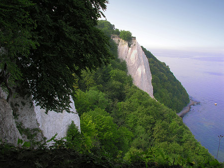 Foto Königsstuhl Kreidefelsen