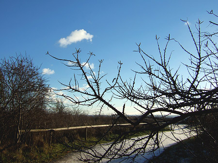 Fotos Weg | 