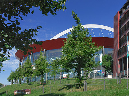 Kölnarena auf einer Wiese