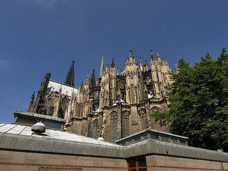 Kölner Dom mit Dombauhütte Foto 