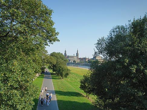 Canalettoblick durch Bäume