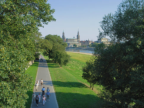 Canalettoblick durch Bäume Foto 