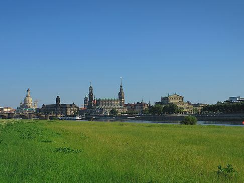 Foto Canalettoblick mit Wiese - Dresden