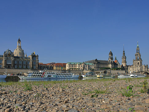 Fotos Ufer Nahaufnahme | Dresden