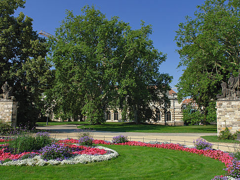Foto Garten vor Frauenkirche - Dresden
