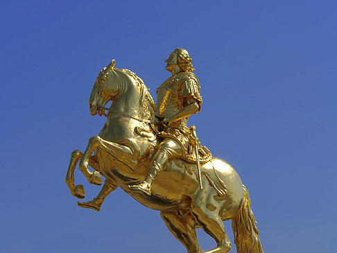Fotos Goldener Reiter Nahaufnahme | Dresden
